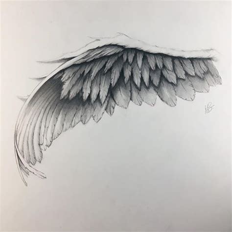 images  chronicink tag  instagram beautytatoos angel wings