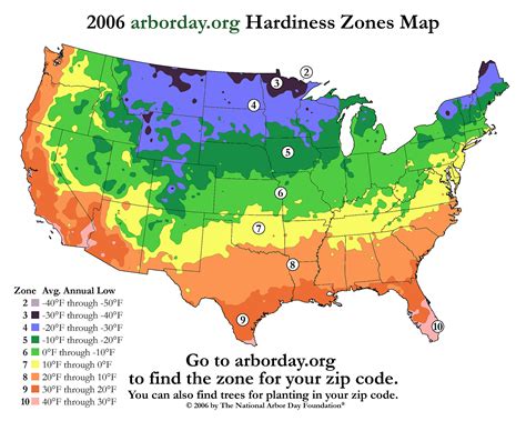 bamboo hardiness zones map  chart