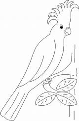 Burung Mewarnai sketch template
