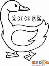 Goose Kidocoloringpages Coloringhome Geese sketch template