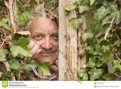 mature man spying through an ivy plant stock image image of curious