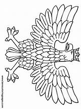 Coloring Pages Eagle Colouring Template Library sketch template