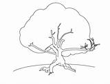 Arbre Manna Coloriages Bestcoloringpagesforkids Getdrawings sketch template