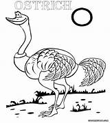 Ostrich Coloring Pages sketch template