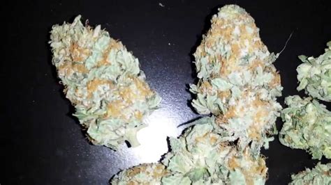 snowcap mini cfl cannabis grow update  final results youtube
