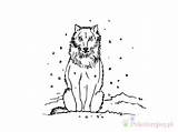 Loup Coloriage Loups Animaux Kolorowanki Coloriages Wilki Wilk Colorier Gulli sketch template