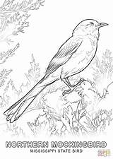 Coloring Bird Florida Pages Mississippi State Iowa Printable Oklahoma Mockingbird Realistic Color Northern Alabama River Drawing Flower Symbols Getcolorings Print sketch template