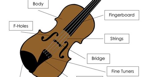 activity sheet parts   violin  bow  education pinterest activities