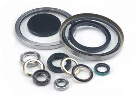 rotary shaft seals tfc