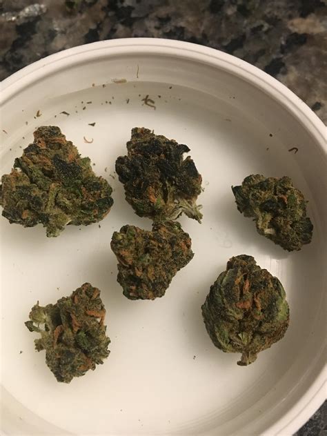 I’m A Relatively New Canadian Medical Patient Just Received 15g Of