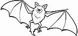 Bat Coloring Pages Upside Down Template sketch template
