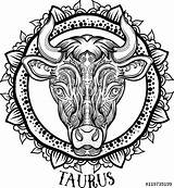 Taurus Aztec Filigree Bull Zodiac Zentangle Constellation sketch template