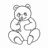 Panda Coloring Bear Pages Outline Printable Bears Print Cute Baby Kids Pandas Giant Little Top Color Clipart Template Online Ones sketch template