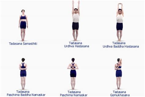 common types  yoga