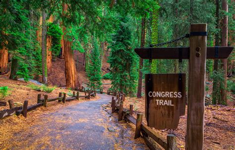 sequoia  kings canyon  day itinerary moon travel guides