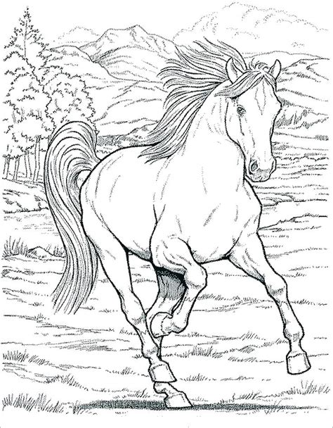 black stallion coloring pages  getcoloringscom  printable
