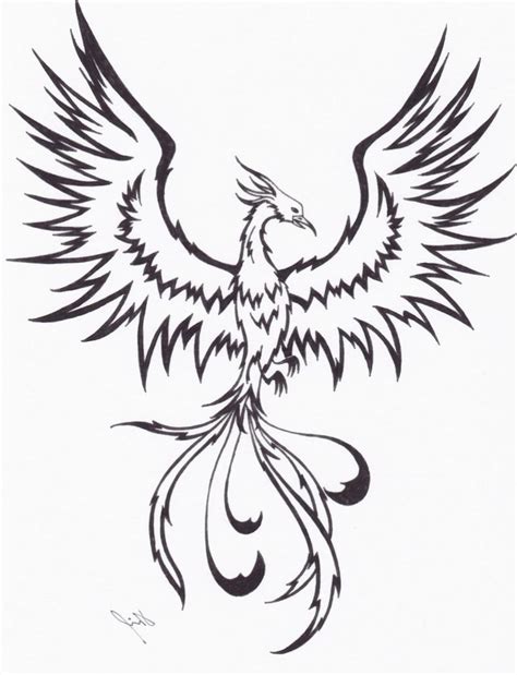 phoenix drawing images     drawings