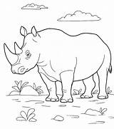 Rhino Moose sketch template