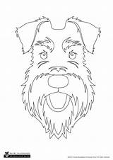 Colouring Outline Schnauzer Pack Basket Difference Spot Added Been Has sketch template