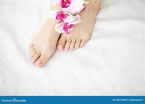 female feet  spa salon  pedicure procedure stock image image