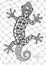 Gecko Lizard Mandalas Zentangle Dessin Pages Coloring Printable Salamandre Mandala Adult Tiere Patterns Tangle Google Colouring Search Colorear Tattoo Geckos sketch template