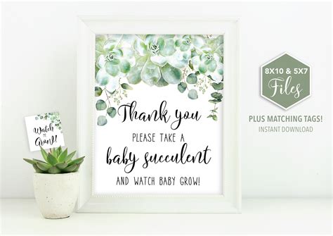 baby grow sign succulent baby shower   grow etsy