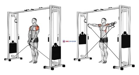 cable lateral raise home gym review