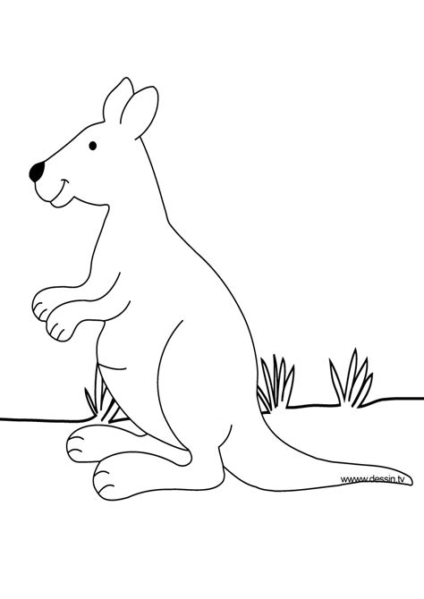 kangaroo printable coloring pages