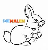Hasen Kaninchen Ausmalbild Ausdrucken Hase Malvorlagen sketch template