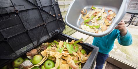 true cost  food waste huffpost