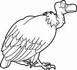 Vulture Coloring Pages Turkey Printable Print Drawing Vultures Kids Buzzard Color Getcolorings Getdrawings Coloringbay Designlooter Supplyme sketch template