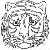 Tiger Coloring Face Pages Getdrawings sketch template