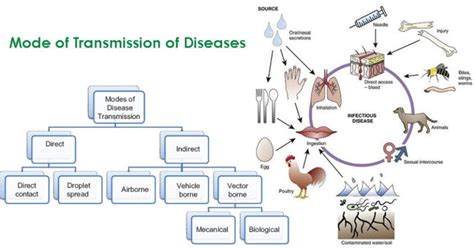 mode  transmission  diseases epidemiology microbe notes