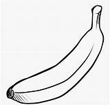Sketsa Buah Pisang Mewarnai Banana Kartun Diwarnai Buahan Jeruk Putih Hitam Yellow Animasi Anak Clipartkey Paud Pita Warna Cavendish 38kb sketch template