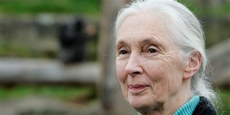 jane goodall opens    science   wrong huffpost