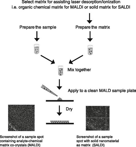 maldi tof mass spectrometry  clinical analysis  research acs measurement science au