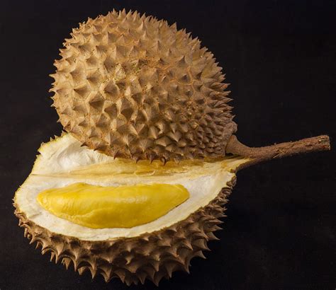durian  king  fruits absolutely delicious   smell