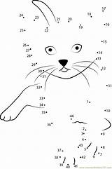 Cat Dots Connect Dot Play Worksheet Kids Online Animals Pdf Report Print Color sketch template