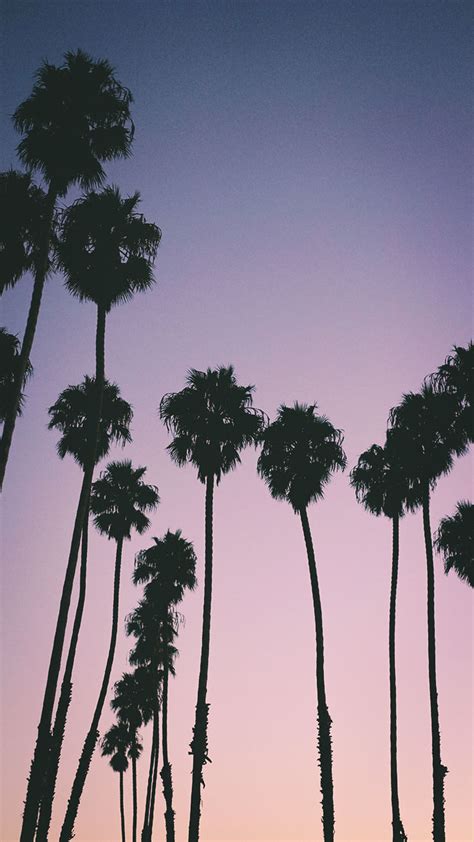 9 Summer Sunset Iphone Wallpapers To Kill That Winter