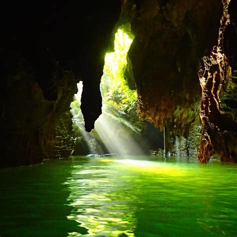 glowworm caves   zealand popsugar smart living photo