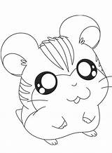 Hamster Ausmalbilder Hamtaro Hamsters Sandy Peep Malvorlagen Getdrawings Ausmalen Penelope Momjunction sketch template