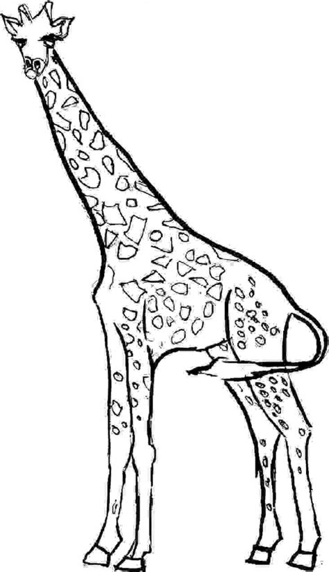 printable giraffe coloring pages  kids