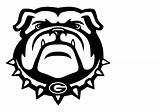 Georgia Bulldog Uga Bulldogs Getdrawings Mascot Clipground Clipartmag sketch template