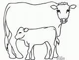 Cow Coloring Pages Dairy Calf Printable Kids Drawing Angus Popular Animal Getdrawings Coloringhome sketch template