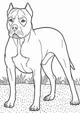 Boxer Coloring Dog Pages Backyard Guarding Tocolor Dogs Color Kids Sheets Boxers sketch template