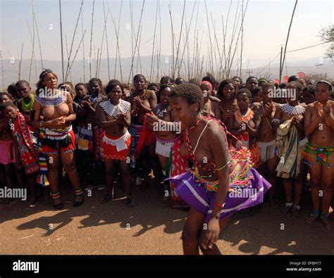 zulu maidens zulu reed dance stockfotos and zulu maidens zulu reed dance
