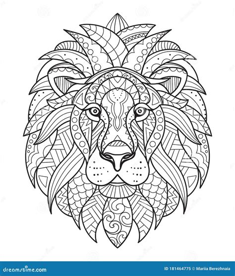 lion coloring  adults antistress stock vector illustration