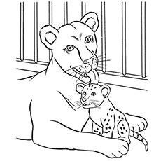 top   printable zoo coloring pages
