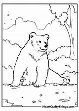 Bear Iheartcraftythings sketch template