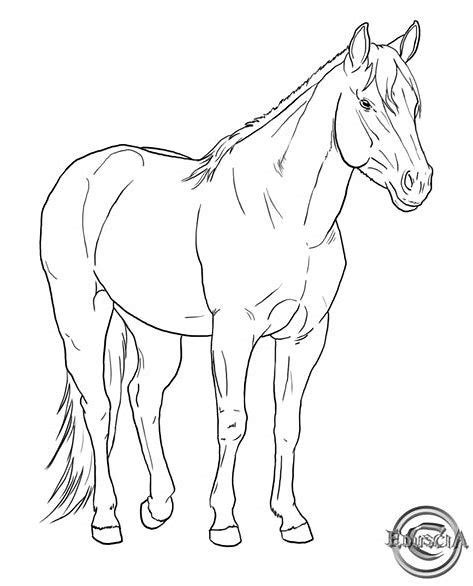 wild horse coloring pages icin resim sonucu horse coloring pages dog